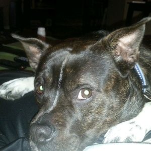 Meet your Posher, Ben